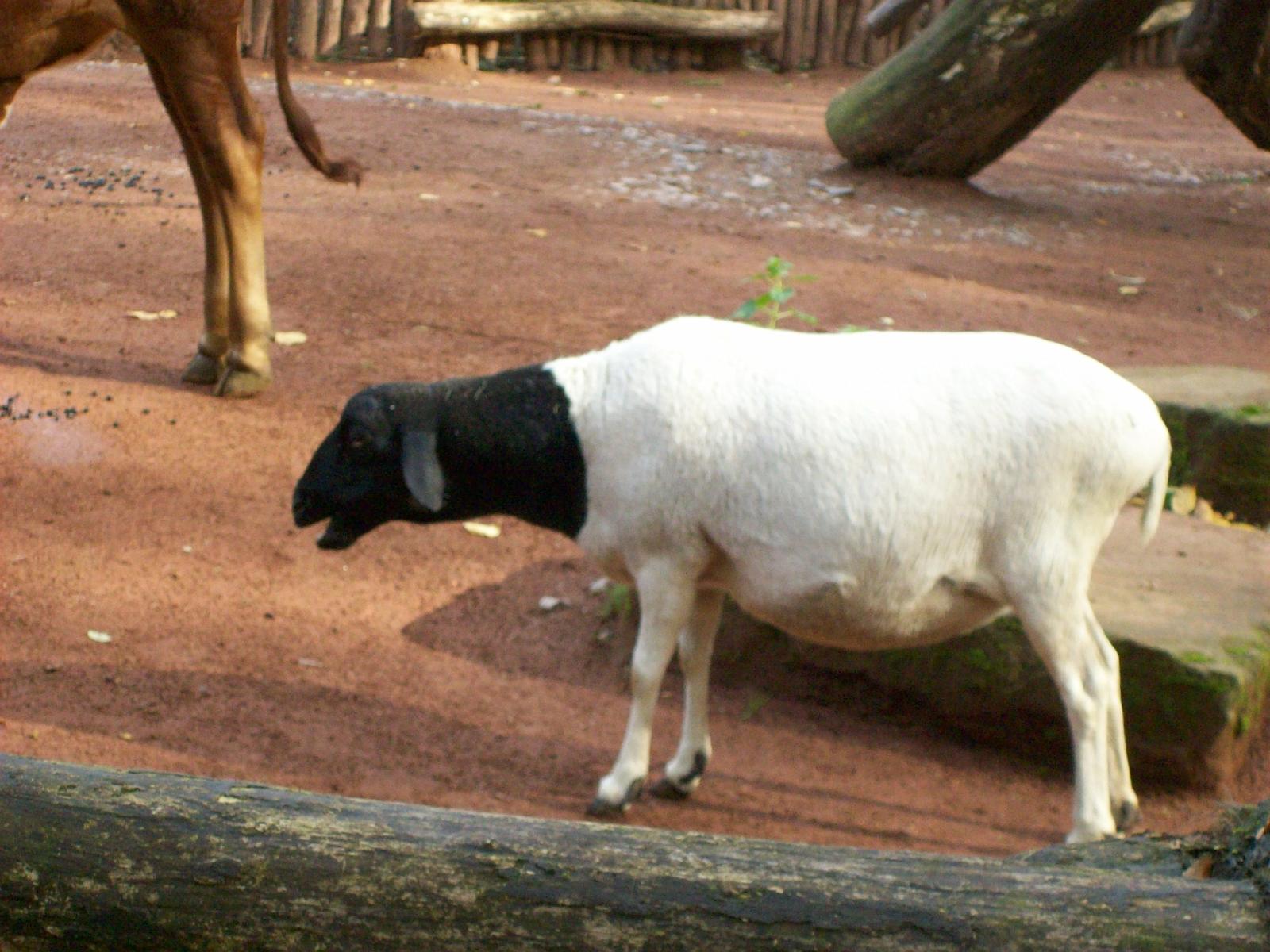 Zoom 18.10.2008-030.jpg